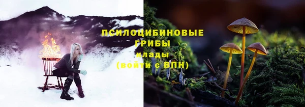 трава Арсеньев