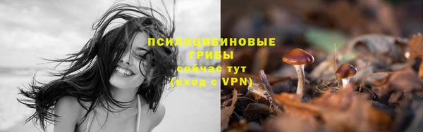 не бодяженный Переславль-Залесский