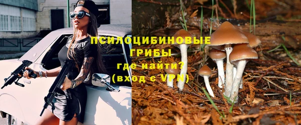 трава Арсеньев