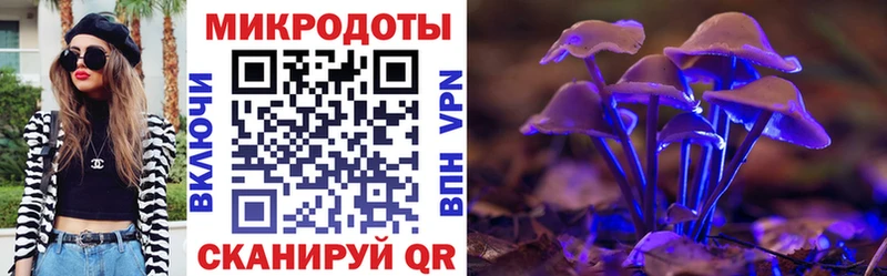 Галлюциногенные грибы мицелий  Тарко-Сале 